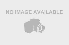 Acura Oem Accessories 42751-ken-012 Genuine Temp Spare