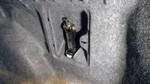 Accord 2007 Jack 1083644 Used. Price: $75.00.