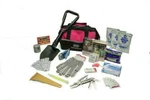 Genuine Kia 2018-2020 Forte Cadenza Severe Weather Kit Assembly C6F74-AU000 New. Price: $62.02.