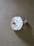08 Durango Spare Wheel Carrier Tire Winch 192192 Used. Price: $80.00.