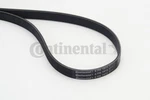 Continental Ctam 6PK1873 V-ribbed Belt For Audi Bmw Chevrolet Daewoo Mercedes-be Neu. Price: $32.72.